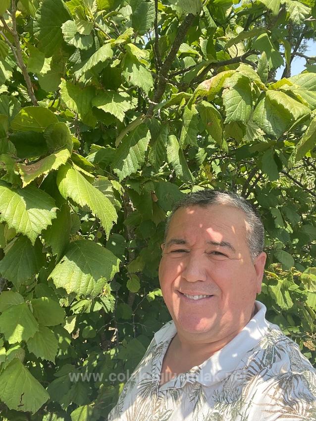 Freistehendes Landhaus Mit 3 Schlafzimmern Und 1 Bad Sowie 15.000 M² Großem Garten In Çameli Center Zu Verkaufen