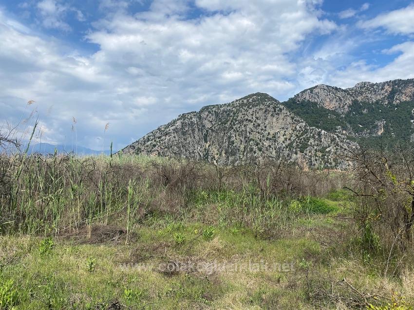 23.990 M² Großes Freistehendes Grundstück Zum Verkauf Im Stadtteil Ortaca Dalyan