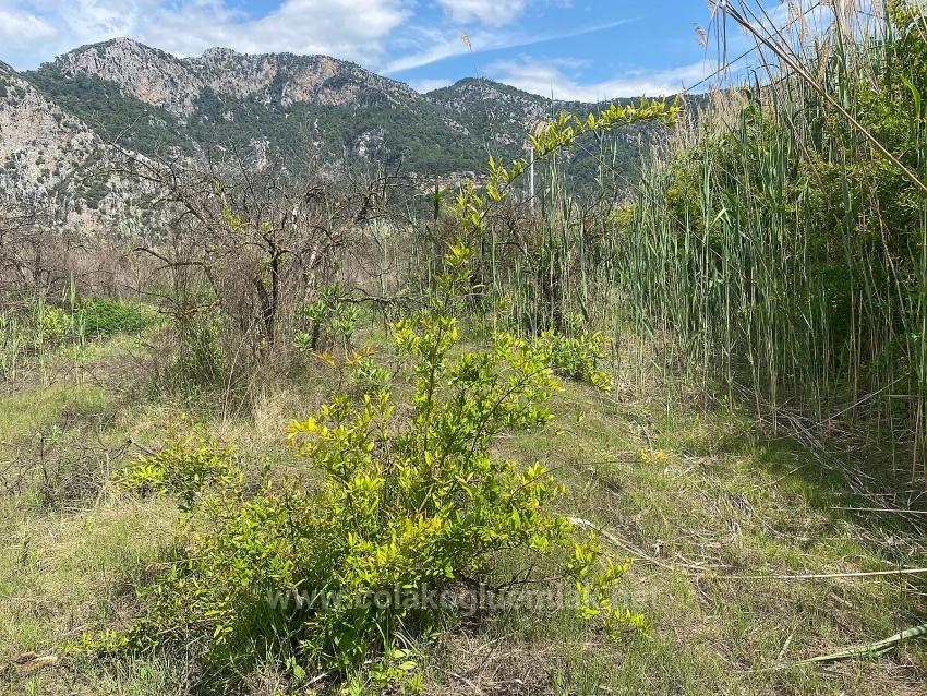 23.990 M² Großes Freistehendes Grundstück Zum Verkauf Im Stadtteil Ortaca Dalyan