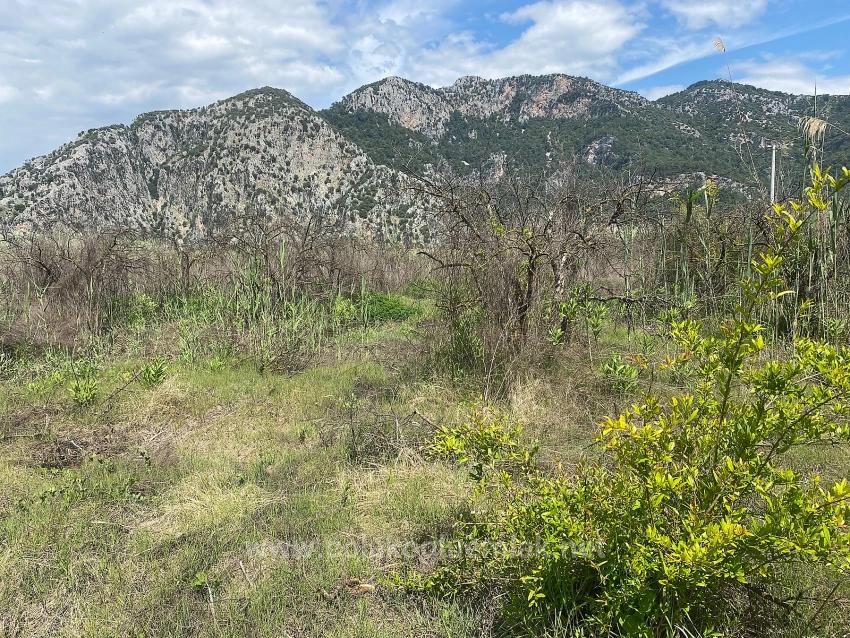 23.990 M² Großes Freistehendes Grundstück Zum Verkauf Im Stadtteil Ortaca Dalyan