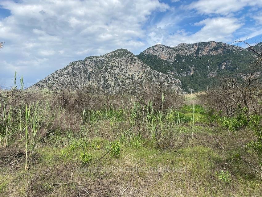 23.990 M² Großes Freistehendes Grundstück Zum Verkauf Im Stadtteil Ortaca Dalyan