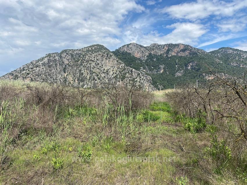 23.990 M² Großes Freistehendes Grundstück Zum Verkauf Im Stadtteil Ortaca Dalyan