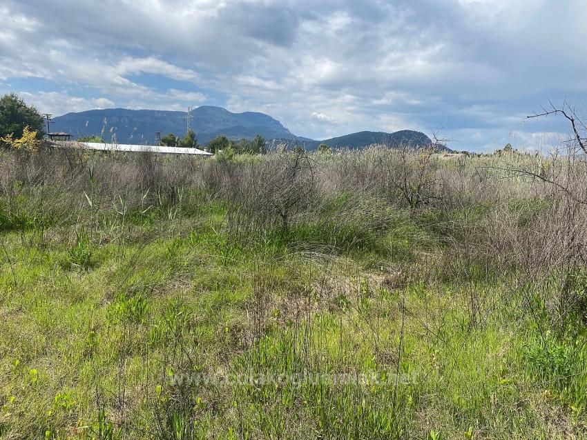 23.990 M² Großes Freistehendes Grundstück Zum Verkauf Im Stadtteil Ortaca Dalyan