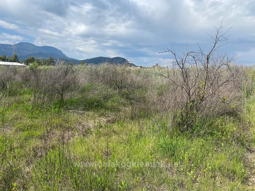 23.990 M² Großes Freistehendes Grundstück Zum Verkauf Im Stadtteil Ortaca Dalyan
