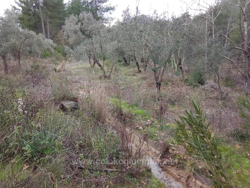 465 M² Großes Freistehendes Grundstück Zum Verkauf Im Viertel Dalaman Karacaağaç