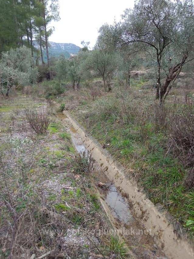 465 M² Großes Freistehendes Grundstück Zum Verkauf Im Viertel Dalaman Karacaağaç