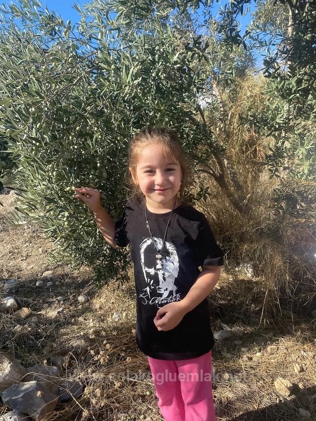 5.456 M² Freistehender Olivenhain Zum Verkauf Im Viertel Dalaman Kayadibi