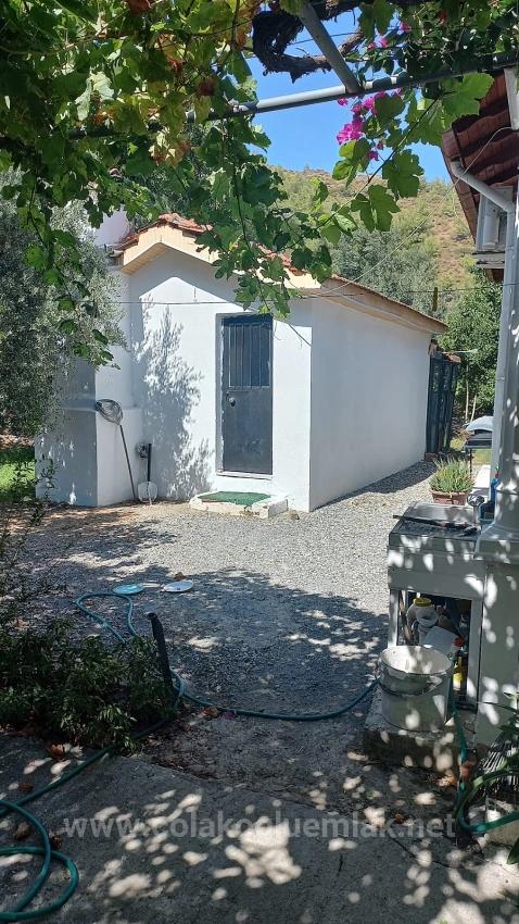 3+1 Einfamilienhaus Zum Verkauf Im Ortaca Center, 890M2, Innerhalb Des Botanischen Gartens