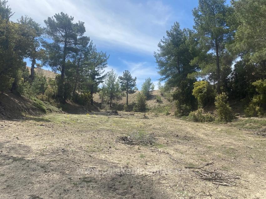 1.150 M² Großes Freistehendes Grundstück Mit Eigentumsurkunde Zum Verkauf Im Viertel Çameli Cevizli