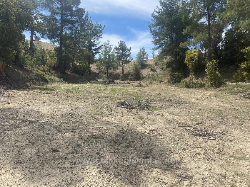 1.150 M² Großes Freistehendes Grundstück Mit Eigentumsurkunde Zum Verkauf Im Viertel Çameli Cevizli