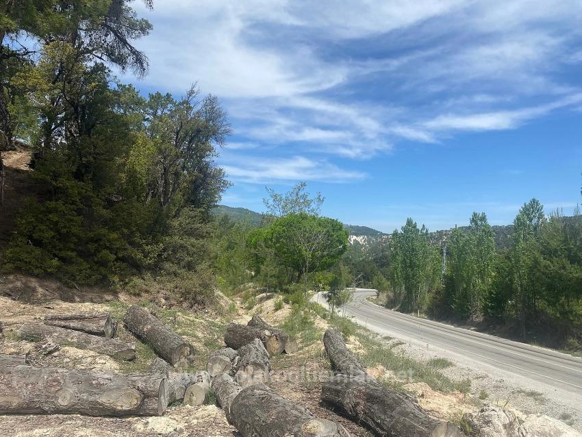1.150 M² Großes Freistehendes Grundstück Mit Eigentumsurkunde Zum Verkauf Im Viertel Çameli Cevizli