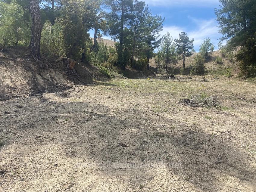 1.150 M² Großes Freistehendes Grundstück Mit Eigentumsurkunde Zum Verkauf Im Viertel Çameli Cevizli