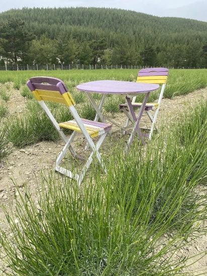 24.164 M² Freistehender Lavendelgarten Zum Verkauf In Çameli Gökçeyaka