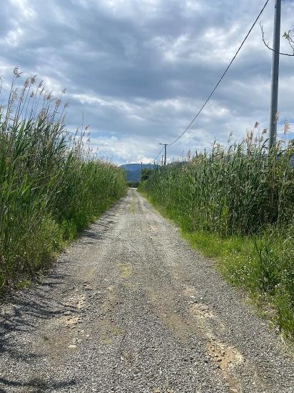 23.990 M² Großes Freistehendes Grundstück Zum Verkauf Im Stadtteil Ortaca Dalyan