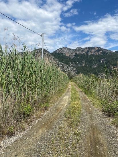 23.990 M² Großes Freistehendes Grundstück Zum Verkauf Im Stadtteil Ortaca Dalyan