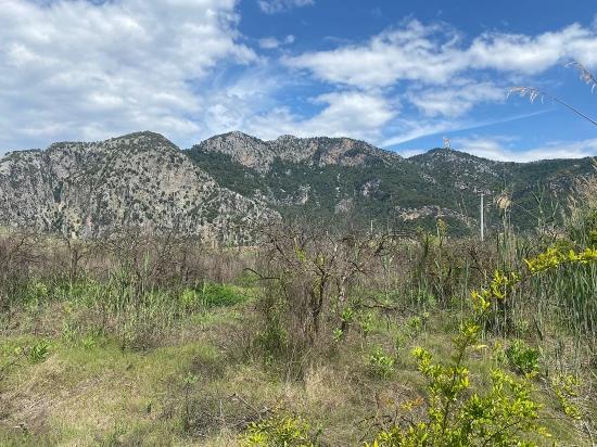 23.990 M² Großes Freistehendes Grundstück Zum Verkauf Im Stadtteil Ortaca Dalyan