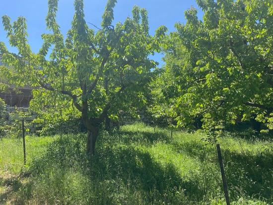 462 M² Großes Freistehendes Grundstück Mit Eigentumsurkunde Und Baugenehmigung Zum Verkauf Im Viertel Nif, Fethiye