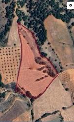 Investitionsfeld Im Dorf Çameli Cevizli, In Der Nähe Der Fethiye Road