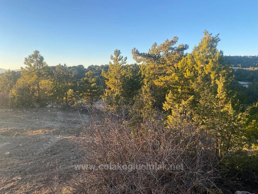 407M2 Detached Land With Title Deed For Sale In Çameli Gökçeyaka