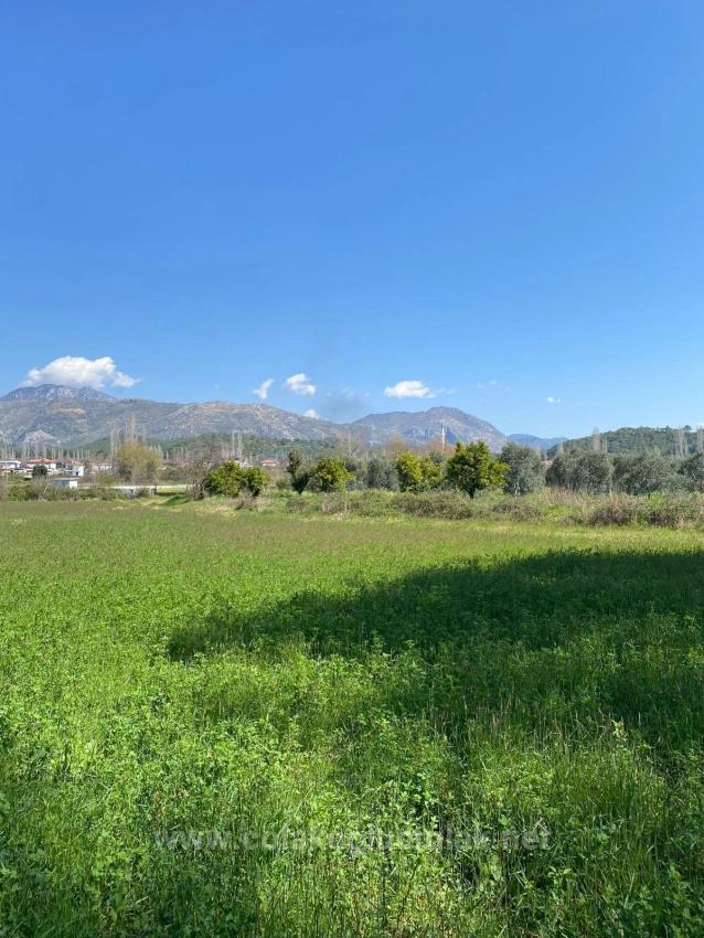 500M2 Detached Land For Sale From Çolakoğlu Emlak