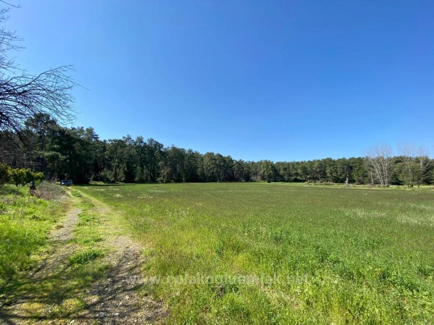 500M2 Detached Land For Sale From Çolakoğlu Emlak