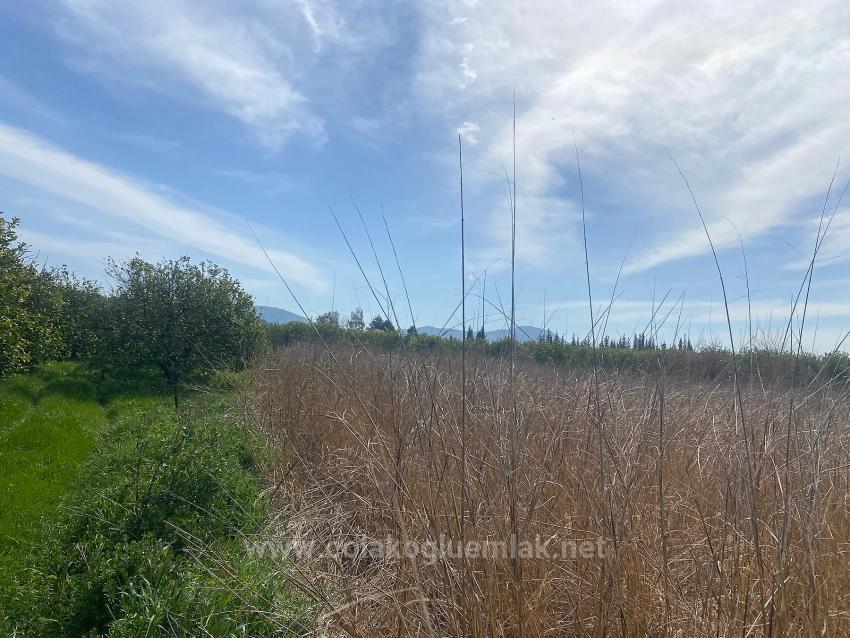 2.315M2 Detached Villa Plot For Sale In Ortaca Center