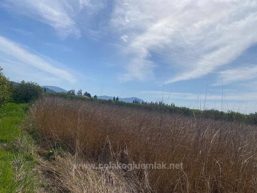 2.315M2 Detached Villa Plot For Sale In Ortaca Center