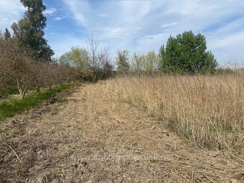 2.315M2 Detached Villa Plot For Sale In Ortaca Center