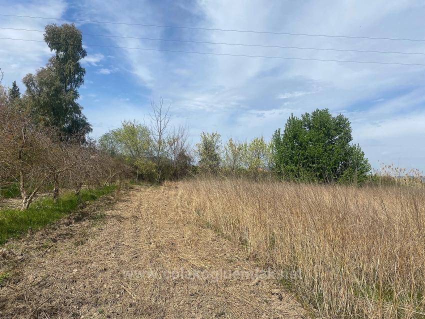 2.315M2 Detached Villa Plot For Sale In Ortaca Center