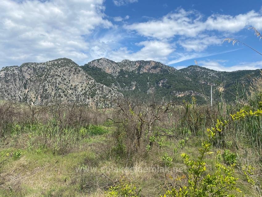 23,990M2 Detached Land For Sale In Ortaca Dalyan Neighborhood