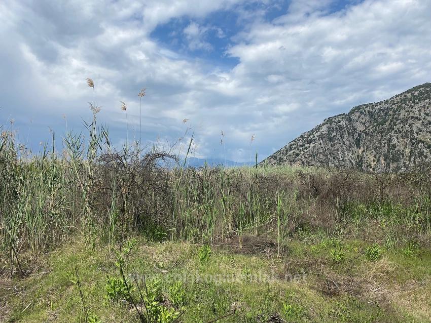 23,990M2 Detached Land For Sale In Ortaca Dalyan Neighborhood