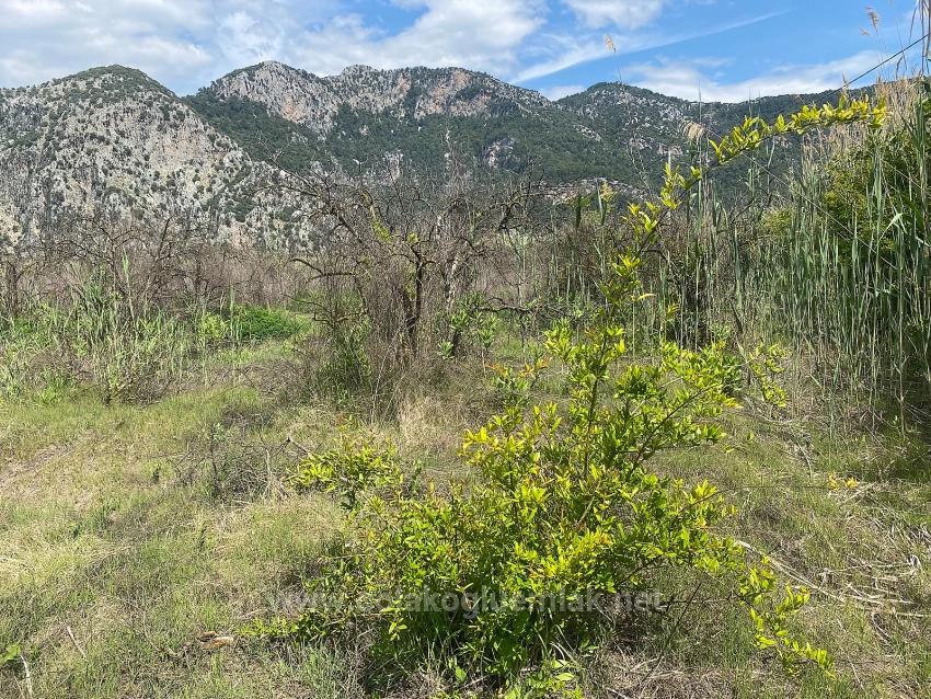 23,990M2 Detached Land For Sale In Ortaca Dalyan Neighborhood