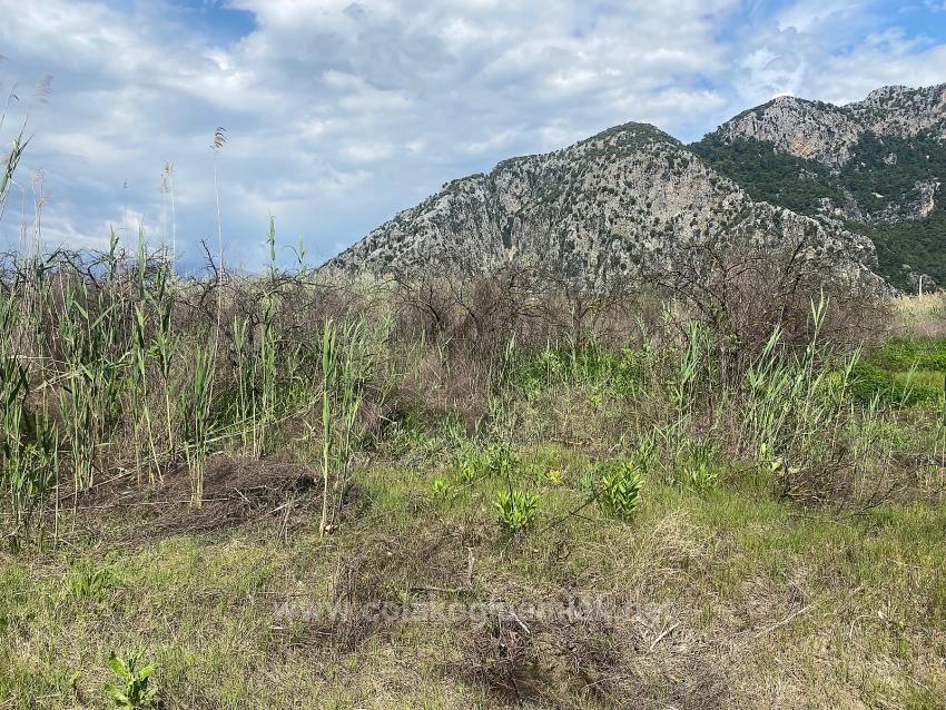 23,990M2 Detached Land For Sale In Ortaca Dalyan Neighborhood