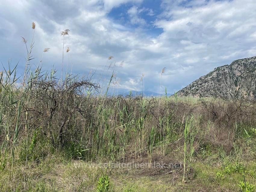 23,990M2 Detached Land For Sale In Ortaca Dalyan Neighborhood