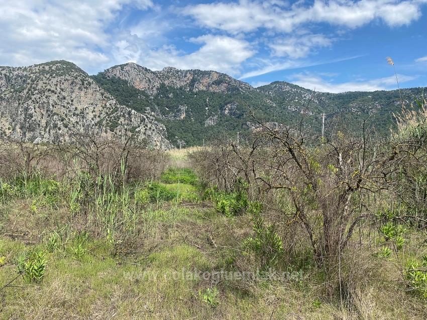 23,990M2 Detached Land For Sale In Ortaca Dalyan Neighborhood