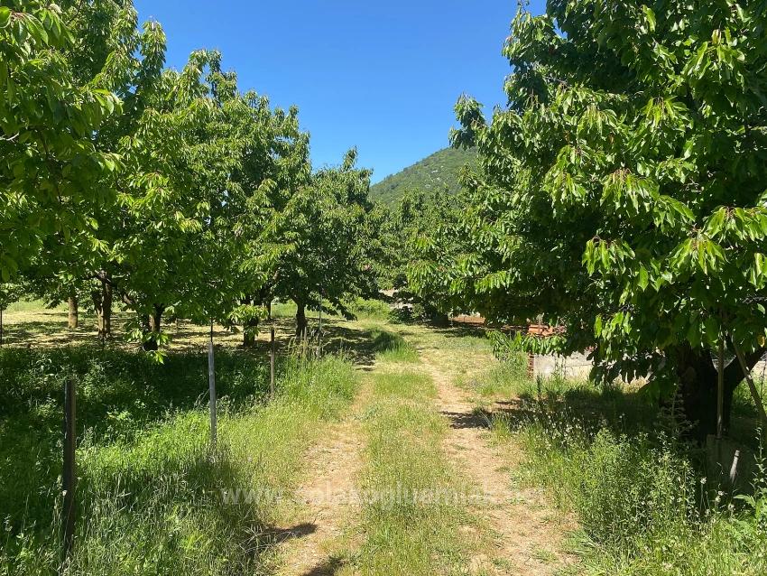 462M2 Detached Land With Title Deed And Zoning Permit For Sale In Nif Neighborhood, Fethiye