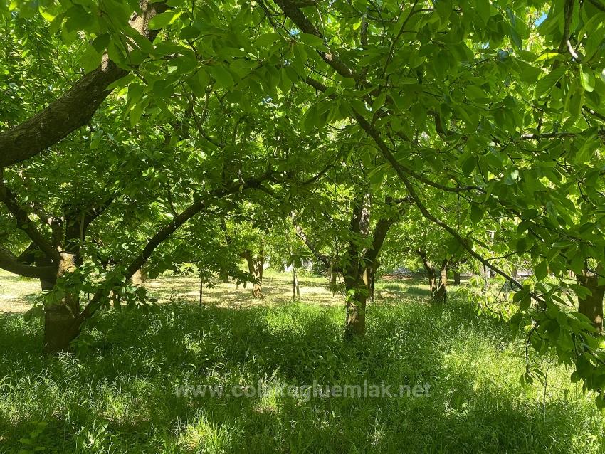 462M2 Detached Land With Title Deed And Zoning Permit For Sale In Nif Neighborhood, Fethiye