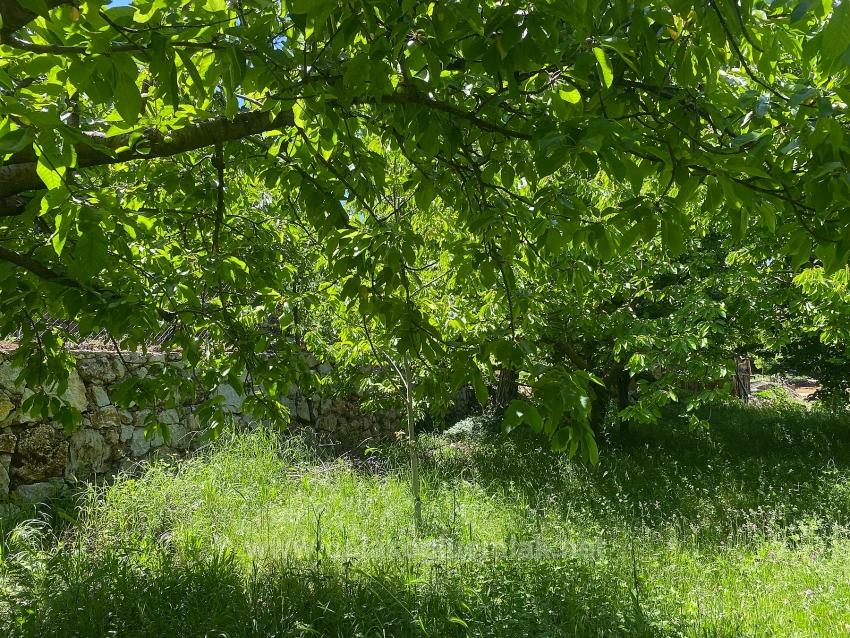 462M2 Detached Land With Title Deed And Zoning Permit For Sale In Nif Neighborhood, Fethiye