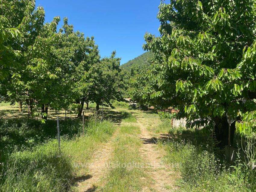 462M2 Detached Land With Title Deed And Zoning Permit For Sale In Nif Neighborhood, Fethiye