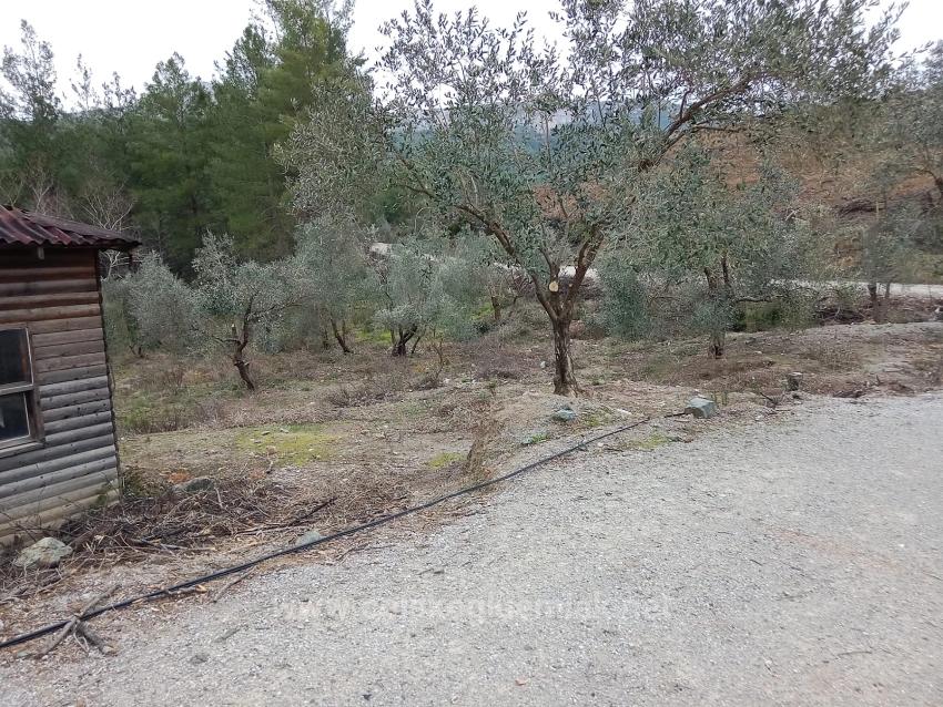 465M2 Detached Land For Sale In Dalaman Karacaağaç Neighborhood