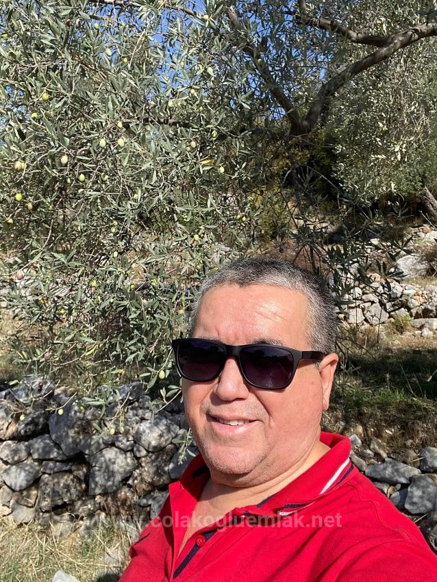 5.456M2 Detached Olive Grove For Sale In Dalaman Kayadibi Neighborhood