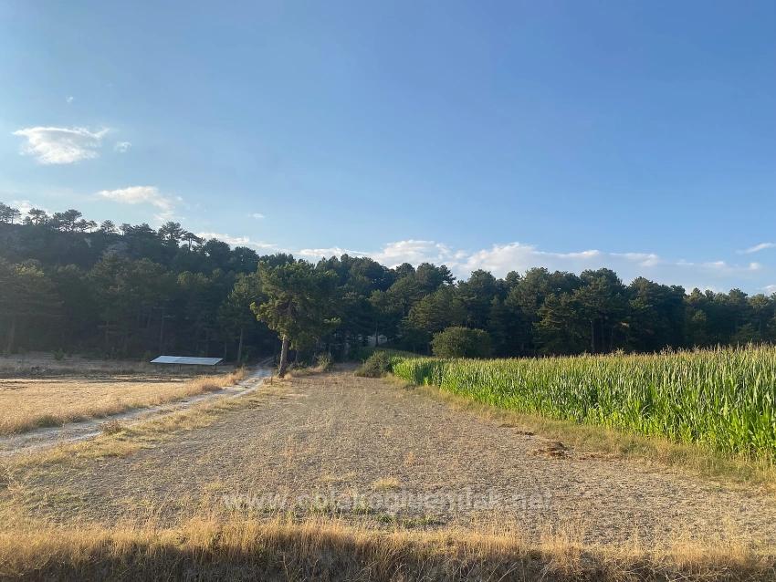 Bargain 1.356M2 Detached Land With Title Deed For Urgent Sale In Çameli Center