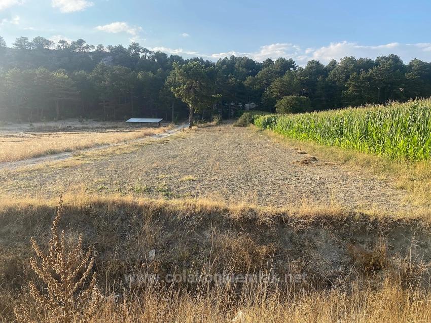 Bargain 1.356M2 Detached Land With Title Deed For Urgent Sale In Çameli Center