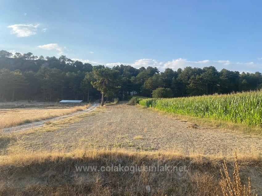 Bargain 1.356M2 Detached Land With Title Deed For Urgent Sale In Çameli Center