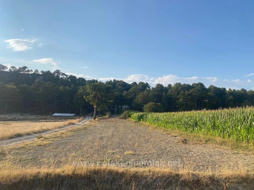 Bargain 1.356M2 Detached Land With Title Deed For Urgent Sale In Çameli Center