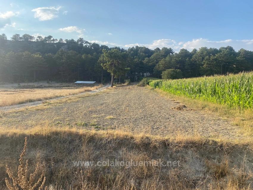 Bargain 1.356M2 Detached Land With Title Deed For Urgent Sale In Çameli Center