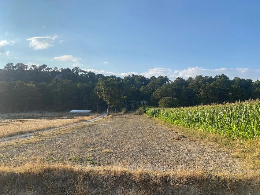 Bargain 1.356M2 Detached Land With Title Deed For Urgent Sale In Çameli Center