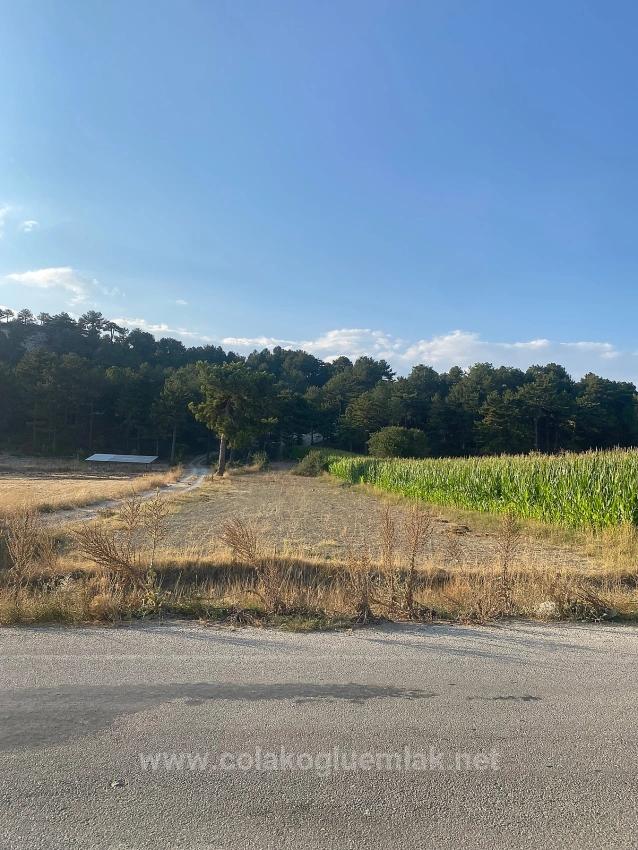 Bargain 1.356M2 Detached Land With Title Deed For Urgent Sale In Çameli Center