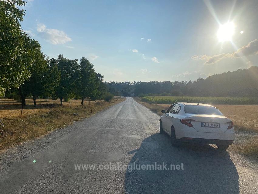 Bargain 1.356M2 Detached Land With Title Deed For Urgent Sale In Çameli Center
