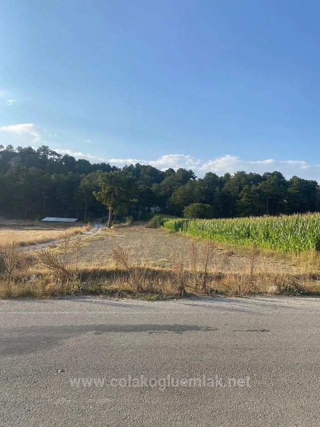 Bargain 1.356M2 Detached Land With Title Deed For Urgent Sale In Çameli Center